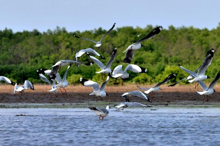 Tour Đà Nẵng - Cần Thơ – Sóc Trăng – Bạc Liêu – Cà Mau 3 Ngày 2 Đêm 